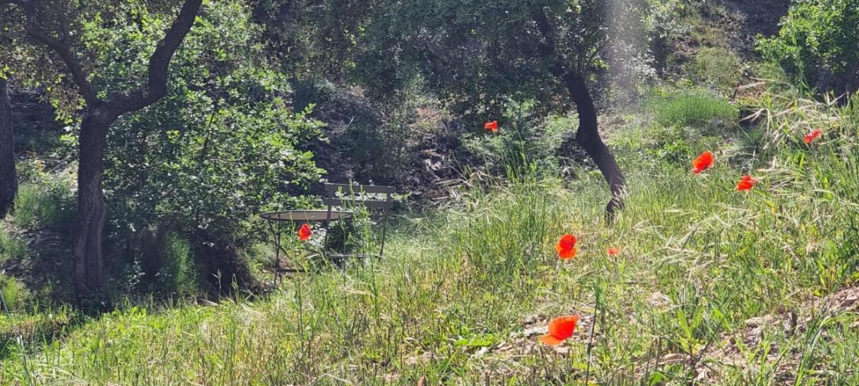 Aparthotel Les Bois De Zola Entre Provence Et Luberon à Saint-Esteve-Janson Extérieur photo