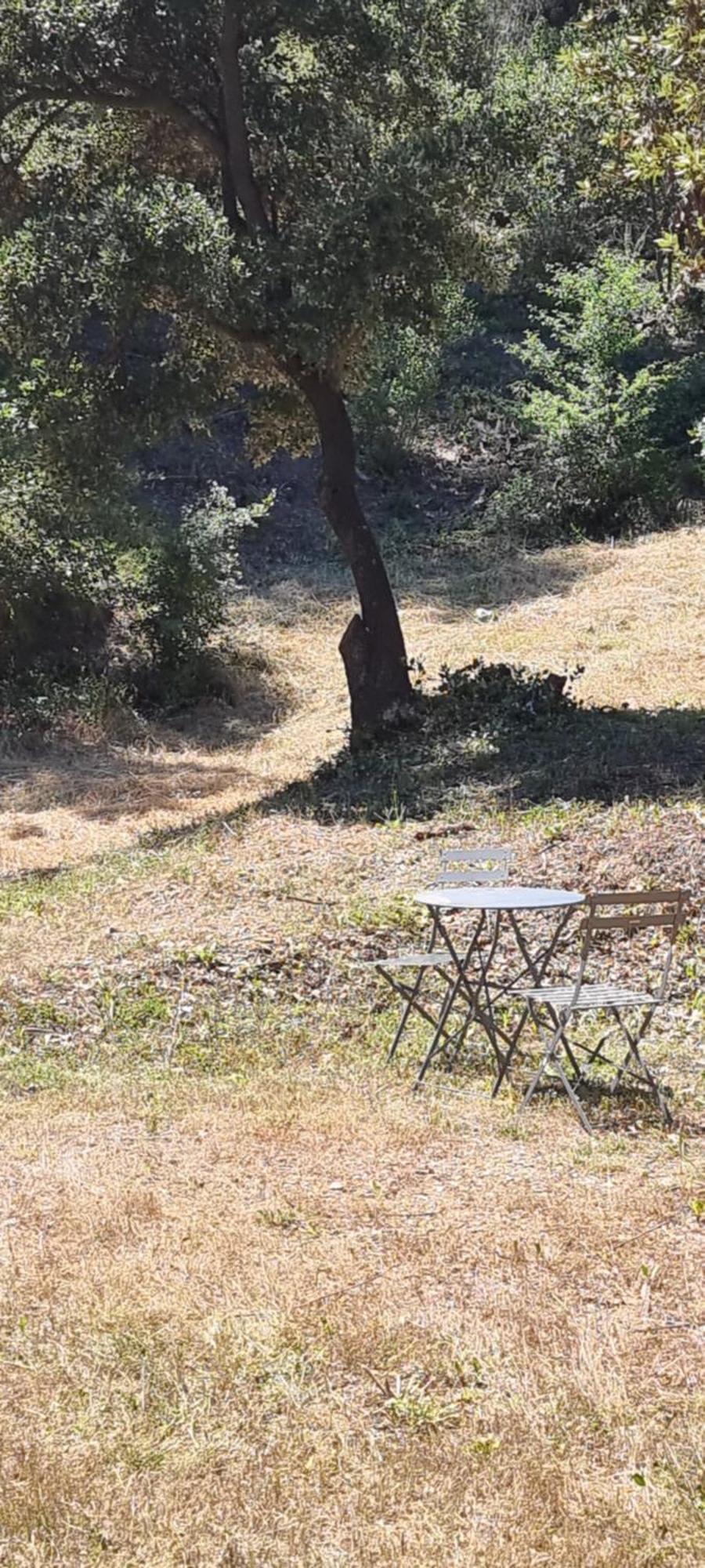 Aparthotel Les Bois De Zola Entre Provence Et Luberon à Saint-Esteve-Janson Extérieur photo